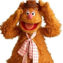 fozzie_bear.png